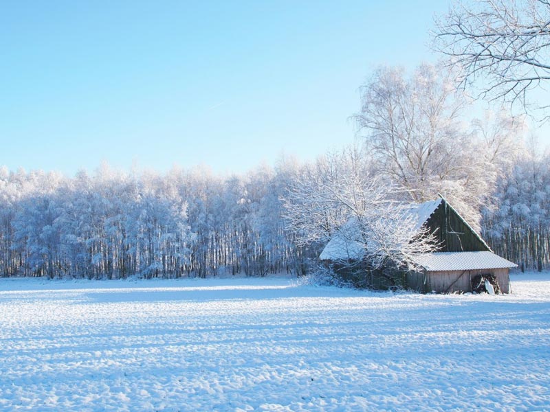 ¿Un invierno en tu vida?